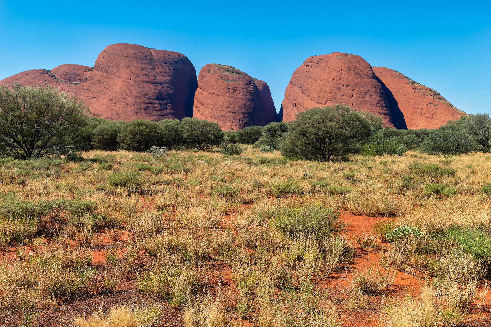 Olgas oder Kata Tjuṯa